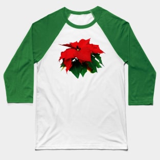 Poinsettias - Poinsettia and Leaves Baseball T-Shirt